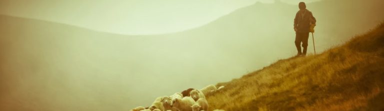 Kodėl evangeliškose bažnyčiose kunigai vadinami pastoriais? | Klausimai – atsakymai