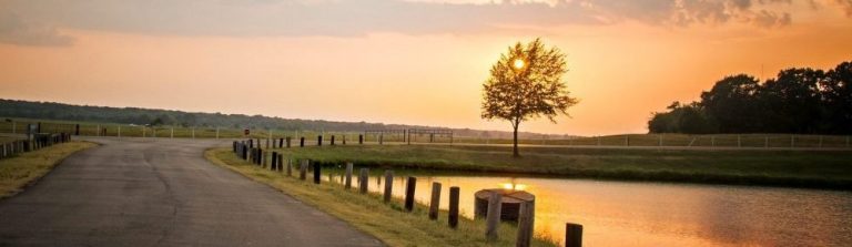 Kaip išgyventi išdavystę? | Klausimai – atsakymai