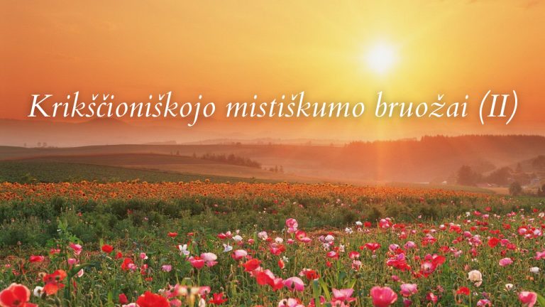 Pamokslas | 2022 07 03 | Krikščioniškojo mistiškumo bruožai (II)