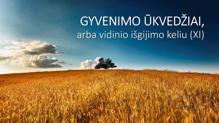 Pamokslas | 2023 01 08 | GYVENIMO ŪKVEDŽIAI, arba vidinio išgijimo keliu (XI)