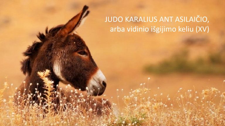 Pamokslas | 2023 04 02 | JUDO KARALIUS ANT ASILAIČIO, arba vidinio išgijimo keliu (XV)