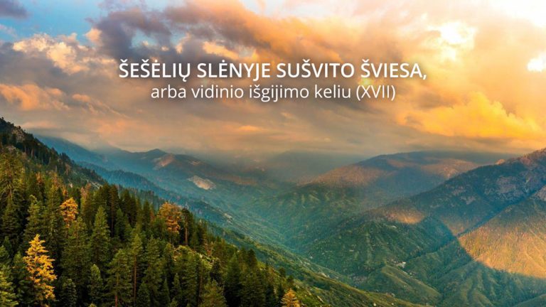 Pamokslas | 2023 07 16 | ŠEŠĖLIŲ SLĖNYJE SUŠVITO ŠVIESA, arba vidinio išgijimo keliu (XVII)