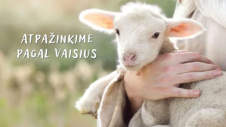 Pamokslas | 2023 12 31 | Atpažinkime pagal vaisius