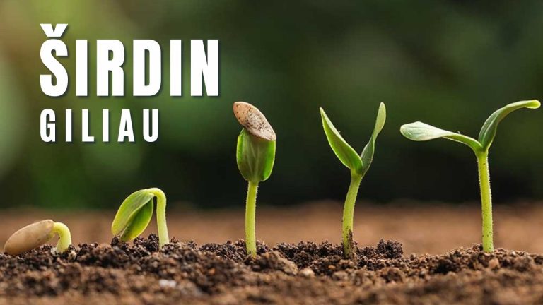Pamokslas | 2024 03 03 | ŠIRDIN GILIAU, arba Dievo karalystės beieškant… (II)