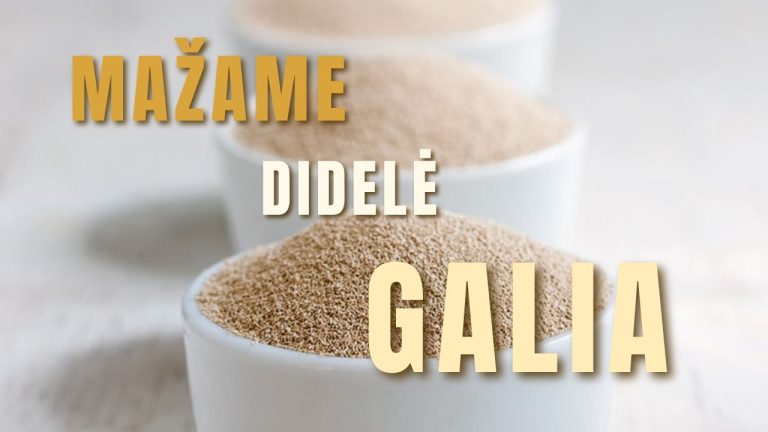 Pamokslas | 2024 05 05 | MAŽAME DIDELĖ GALIA, arba Dievo karalystės beieškant… (IV)