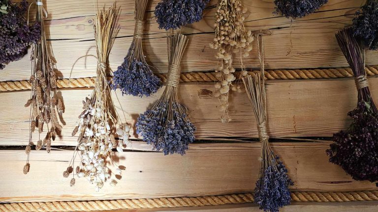 NELYG NUOTAKOS ILGESYS | Meditacija Advento II savaitei