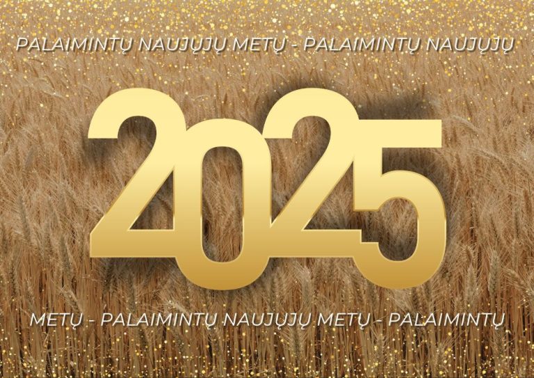 Palaimintų Naujųjų 2025 Metų!