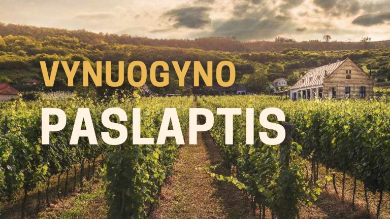 Pamokslas | 2025 03 23 | VYNUOGYNO PASLAPTIS, arba Dievo karalystės beieškant (XIII)