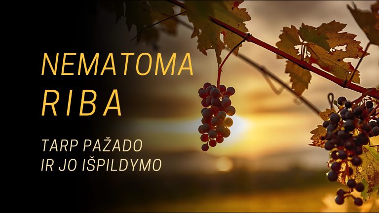 Pamokslas | 2025 03 02 | NEMATOMA RIBA, arba Dievo karalystės beieškant (XII)