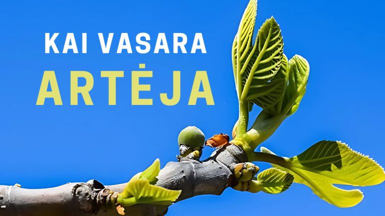 Pamokslas | 2025 05 18 | KAI VASARA ARTĖJA, arba Dievo karalystės beieškant (XV)