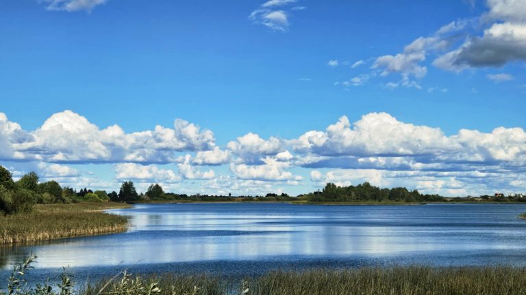 DANGAUS LAIVAI
