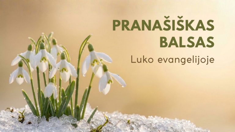 Pamokslas | 2026 03 08 | Pranašiškas balsas Luko evangelijoje