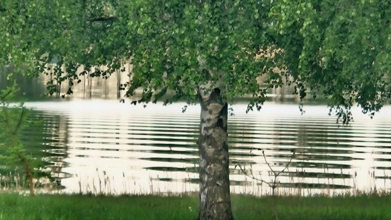 Širdžių atspindy…