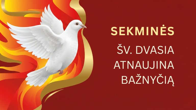 Pamokslas | 2026 05 24 | SEKMINĖS | Šv. Dvasia atnaujina Bažnyčią